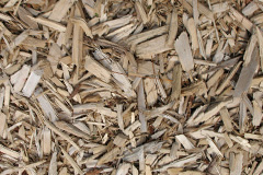 biomass boilers Amatnatua